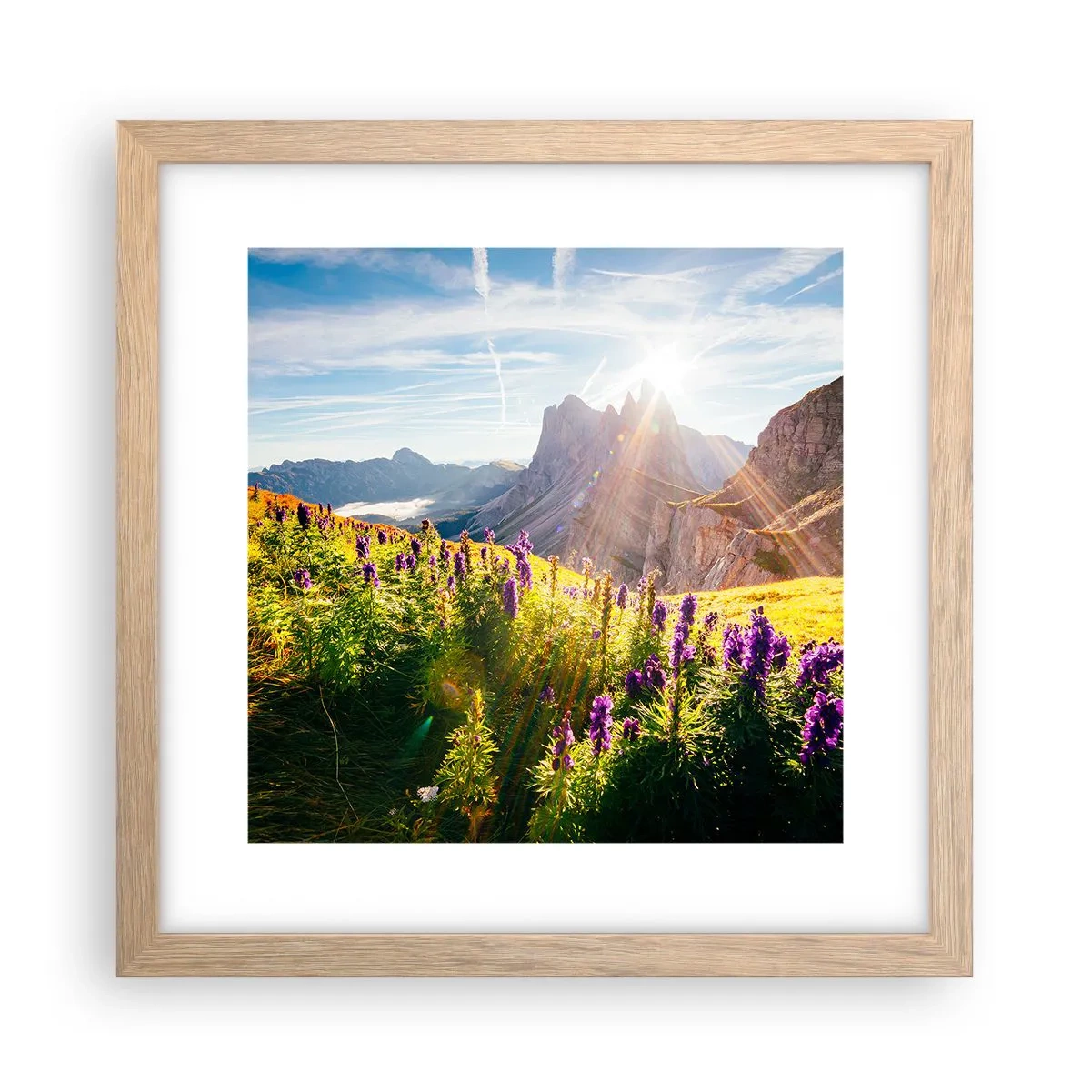 Plagát v ráme zo svetlého duba - Tajomný život bylín - 30x30 cm