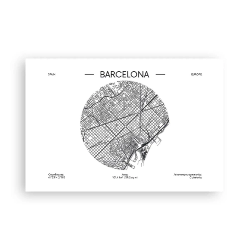Plagát - Anatómia Barcelony - 91x61 cm