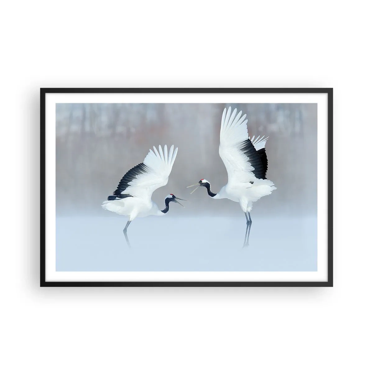 Plagát v čiernom ráme - Tanec v hmle - 91x61 cm