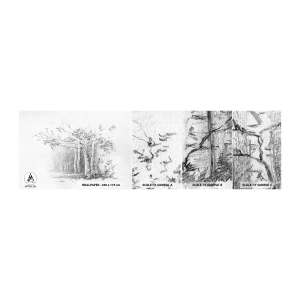 Vzorka Fototapeta Standard Eco - Svetlo brezového lesa - les, Breza, Stromy - 100x30 cm