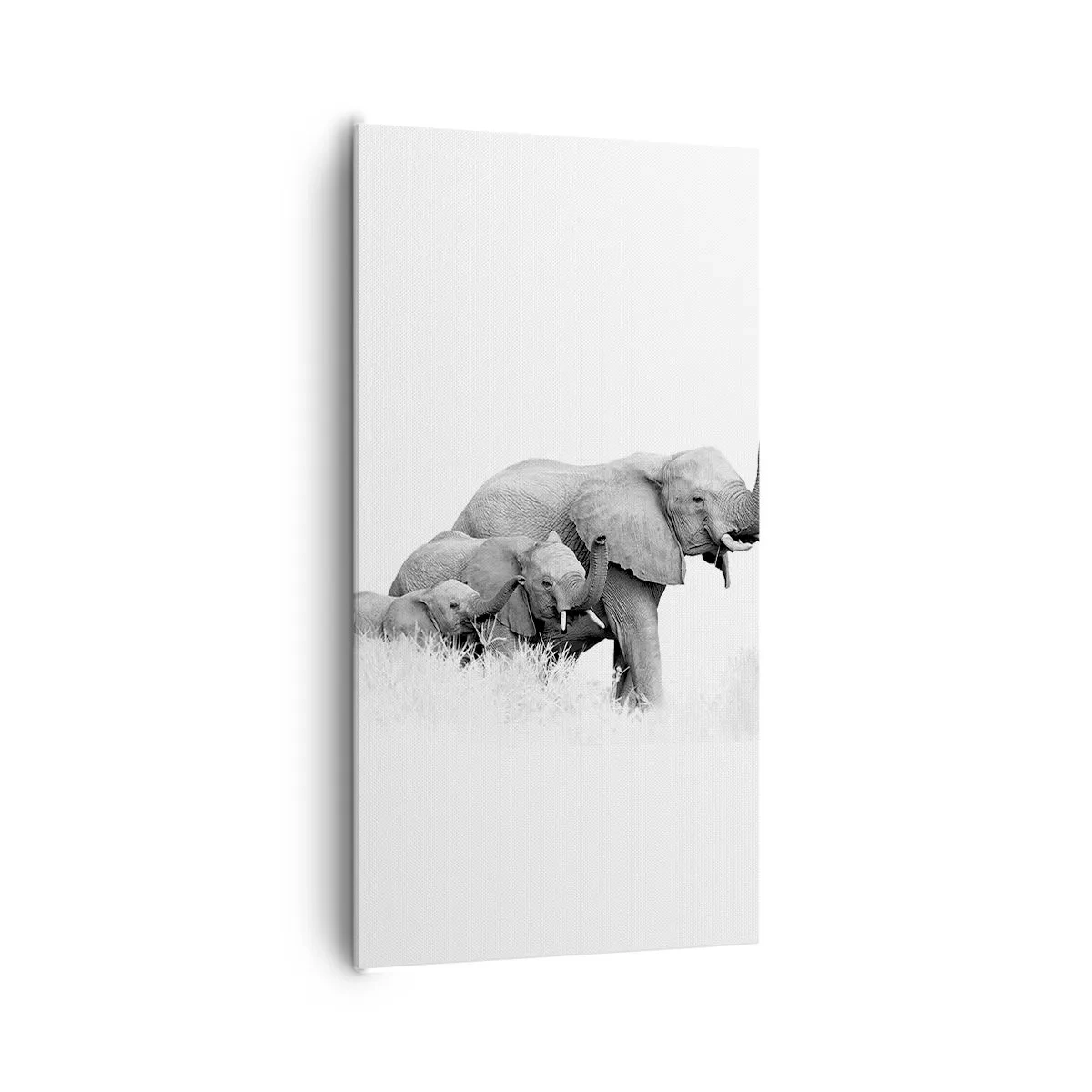 Obraz na plátne - Jedna, dve, tri - 65x120 cm