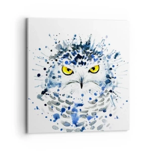 Obraz na plátne - Priamo do očí - 70x70 cm