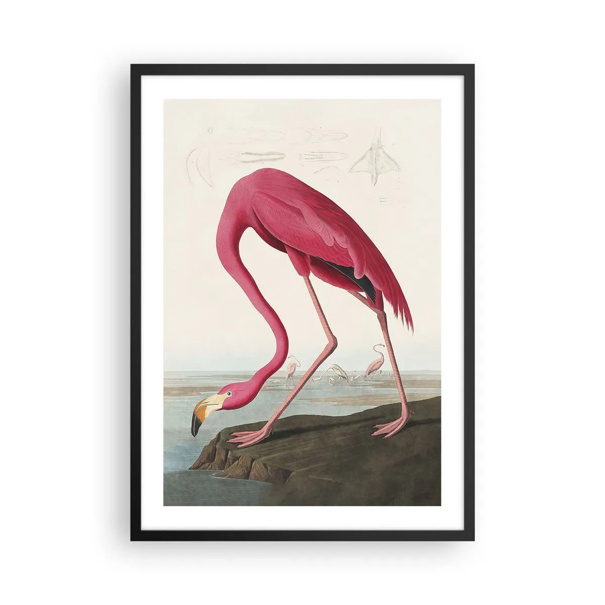 Plagát v čiernom ráme - Ružový plameniak na pozadí prírodnej krajiny - 50x70cm - Úžasná tvora - Moderná nástenná dekorácia do obývacej izby a spálne ARTTOR