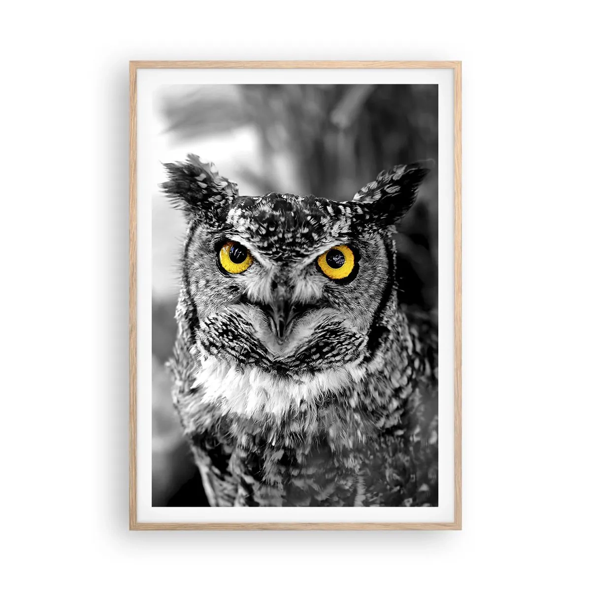 Plagát v ráme zo svetlého duba - Nič sa neschová - 70x100 cm