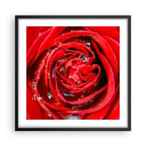 Plagát v čiernom ráme - V kvapkách rosy - 50x50 cm