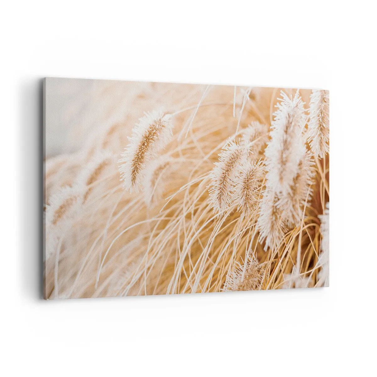 Obraz na plátne - Zlaté šušťanie tráv - 120x80 cm