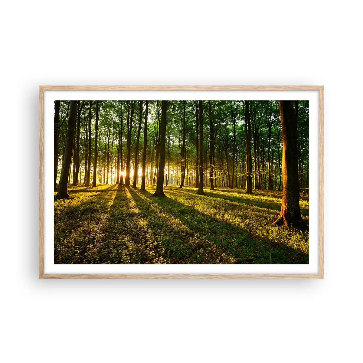 Plagát v ráme zo svetlého duba - Fotografie všetkých jarí - 91x61 cm