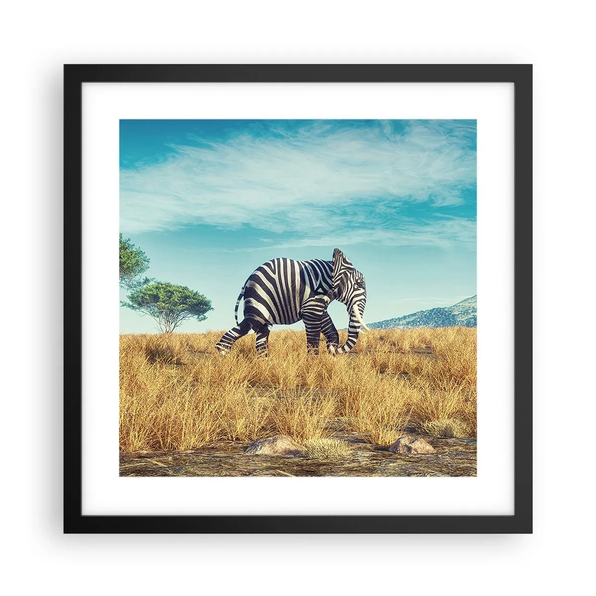 Plagát v čiernom ráme - Šedá už nie je v móde - 40x40 cm