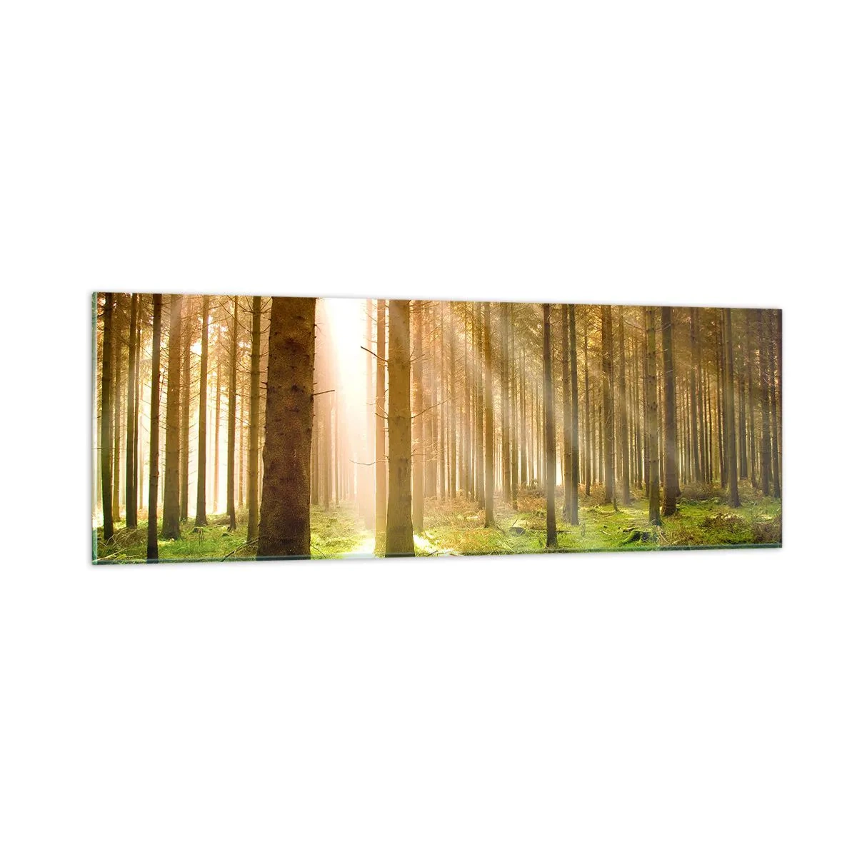 Obraz na skle - Čoskoro sa objavia elfovia - 90x30 cm