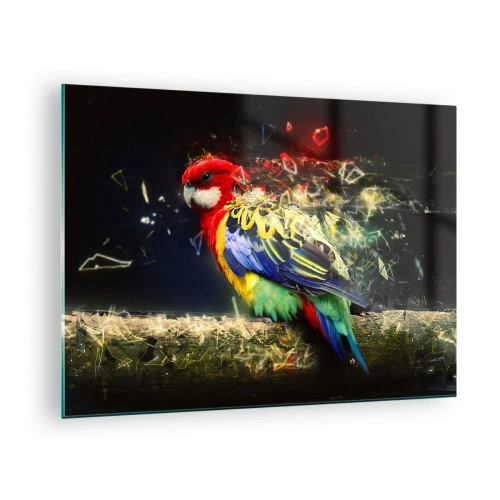 Obraz na skle - Farebný papagáj v umeleckej kompozícii s efektom rozbitia - 70x50cm - Posol žiary - Moderná nástenná dekorácia do obývacej izby a spálne ARTTOR