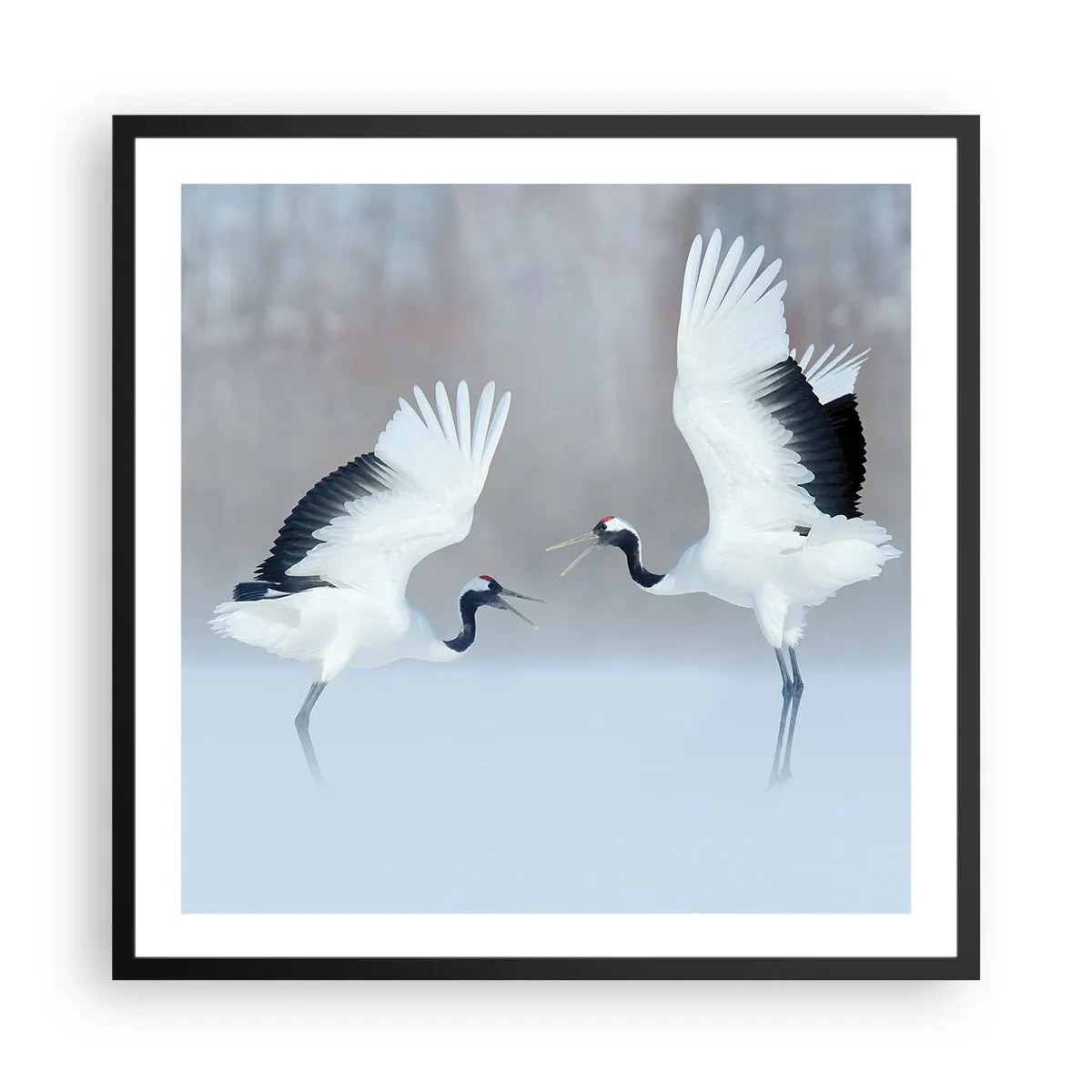 Plagát v čiernom ráme - Tanec v hmle - 60x60 cm