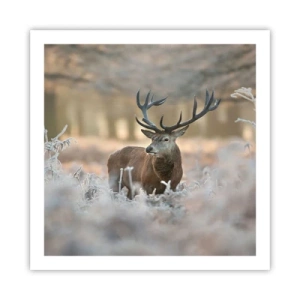 Plagát - Svieže ráno - 60x60 cm