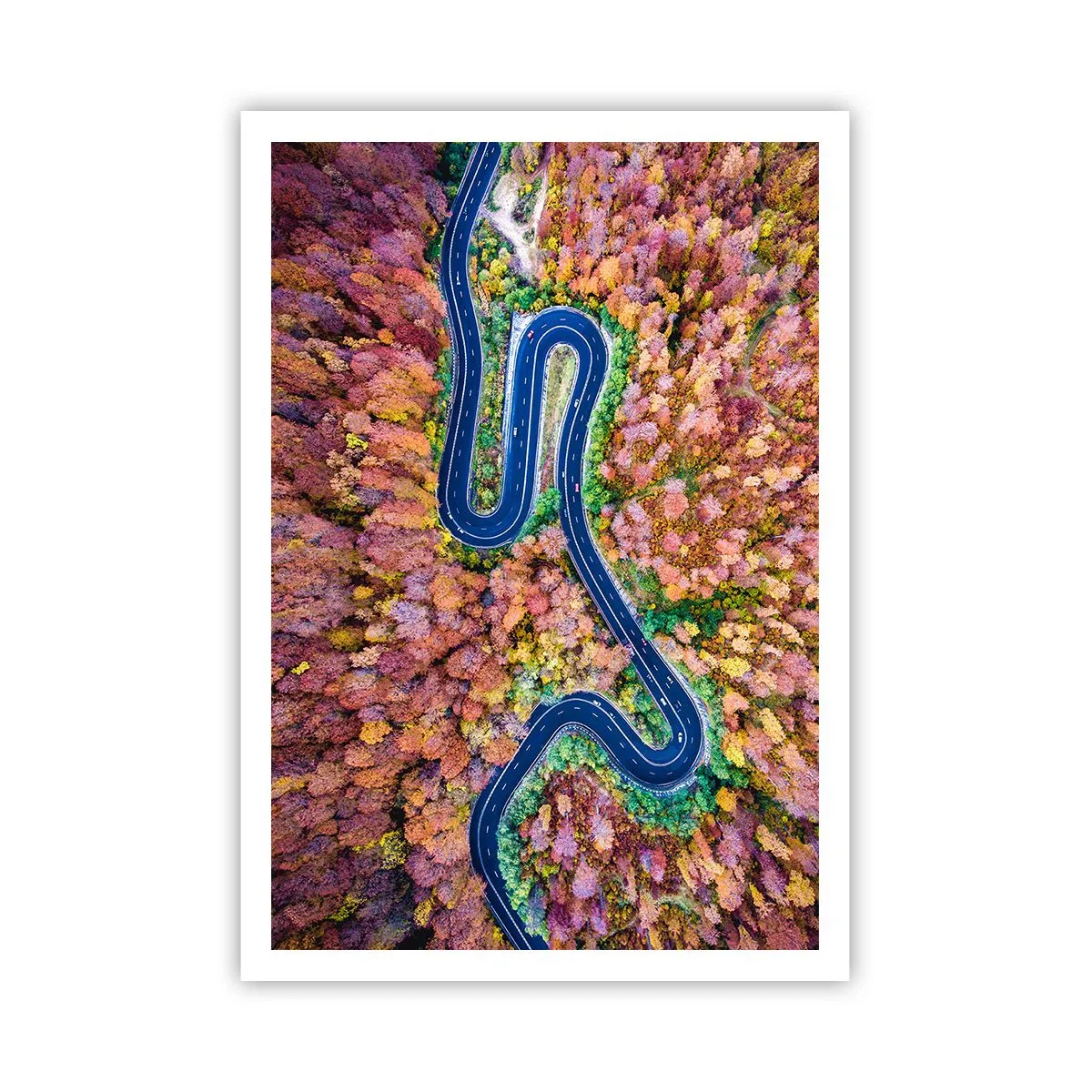 Plagát - Kľukatá cesta lesom - 70x100 cm