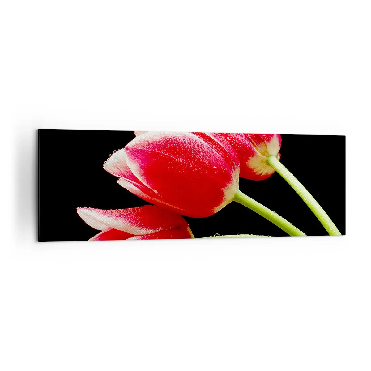 Obraz na plátne - Sľub čistej lásky - 160x50 cm