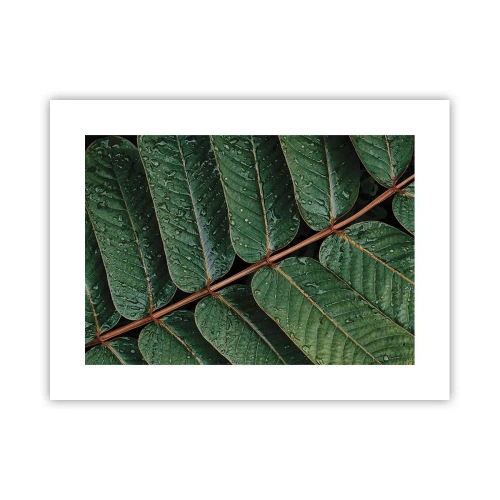 Plagát - V zelenom rytme - 40x30 cm