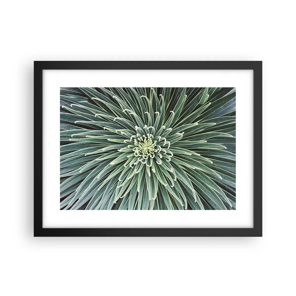 Plagát v čiernom ráme - Zrodenie hviezdy - 40x30 cm