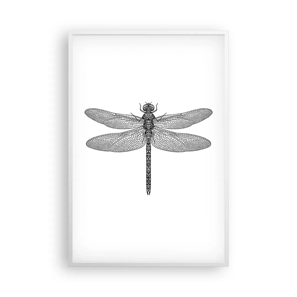 Plagát v bielom ráme - Presnosť prírody - 61x91 cm