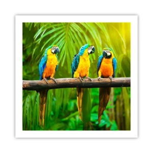 Plagát - Počula si, že ona…? - 60x60 cm