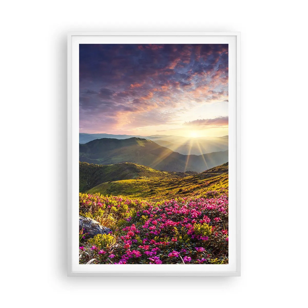 Plagát v bielom ráme - Sviežosť horského rána - 70x100 cm