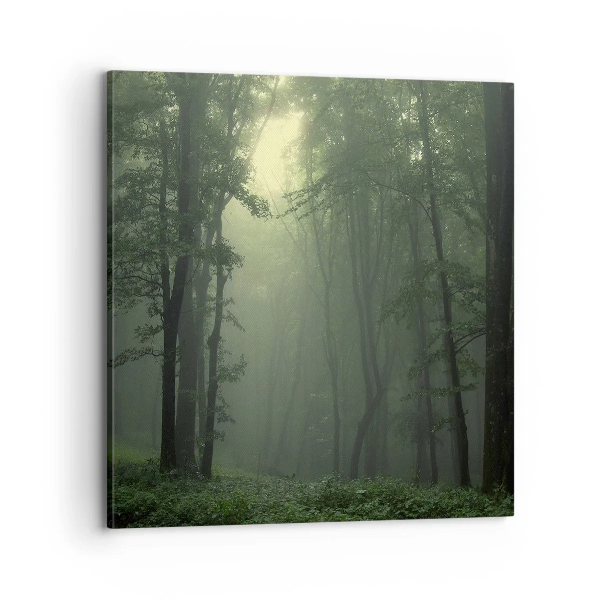 Obraz na plátne - Než sa prebudí - 70x70 cm