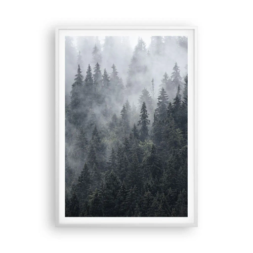 Plagát v bielom ráme - Lesné svitania - 70x100 cm