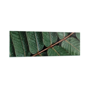 Obraz na skle - V zelenom rytme - 160x50 cm