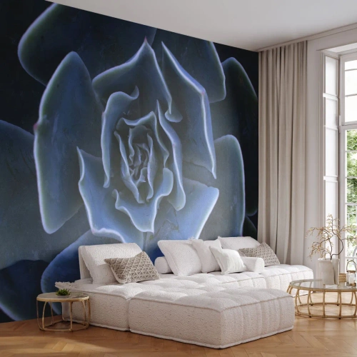 Fototapeta Premium Sand - Púštny kvet - Kvet agáve, Kvetina, Príroda - 250x175 cm