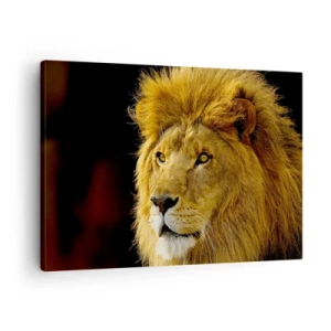 Obraz na plátne - Portrét leva s majestátnou hrivou na tmavom pozadí - 70x50cm - Portrét kráľa - Moderná nástenná dekorácia do obývacej izby a spálne ARTTOR