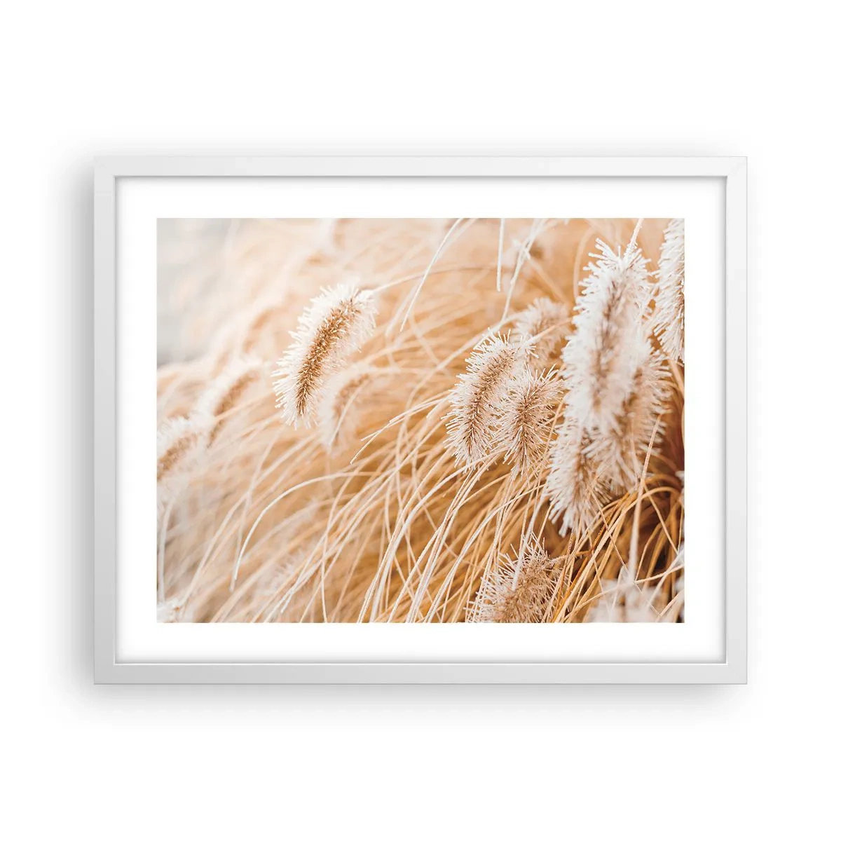 Plagát v bielom ráme - Zlaté šušťanie tráv - 50x40 cm