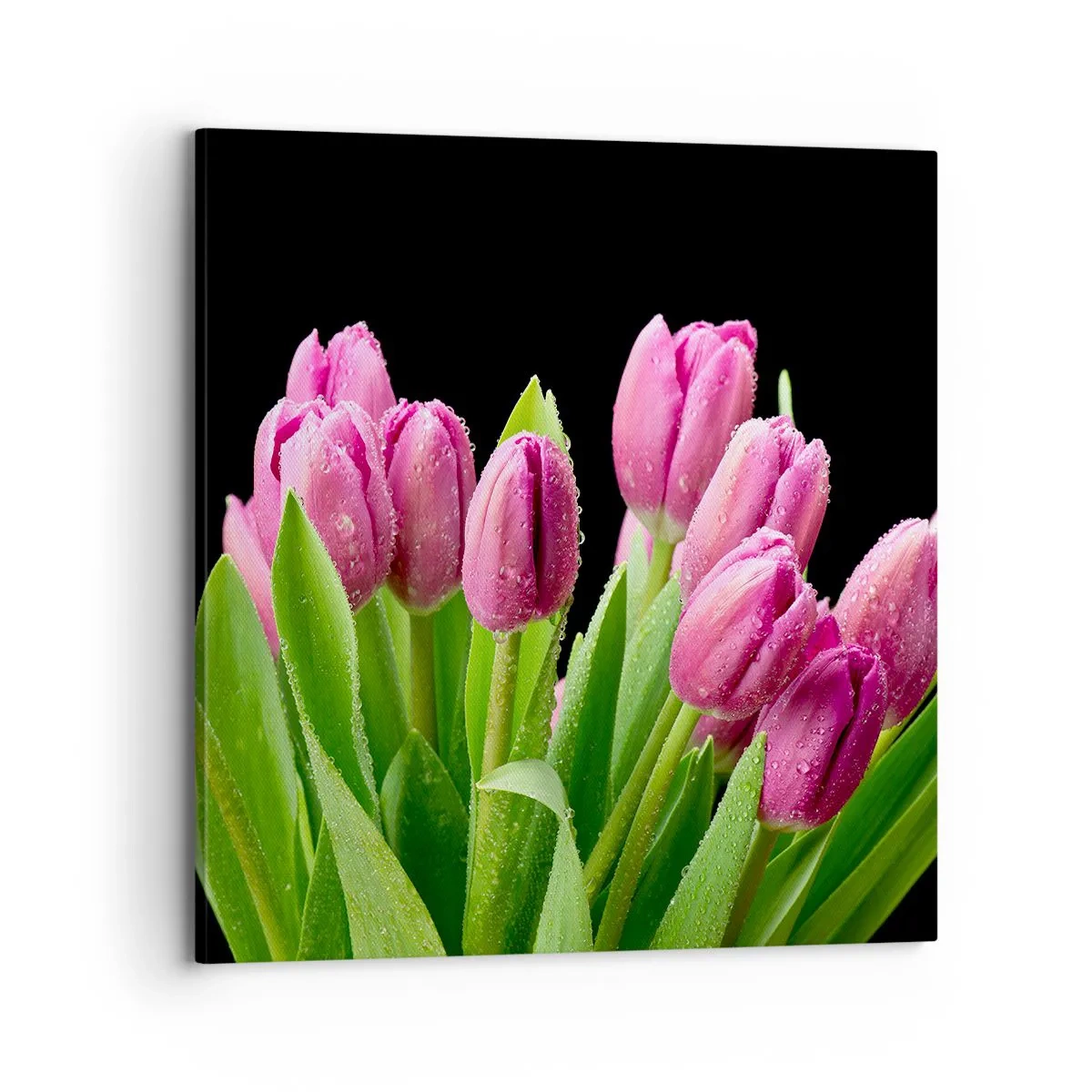 Obraz na plátne - Ľaliové potešenie jari - 70x70 cm