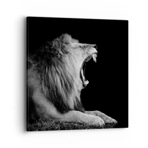 Obraz na plátne - Bez najmenších pochýb - 40x40 cm