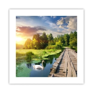 Plagát - Leto, leto všade - 40x40 cm