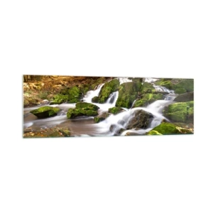 Obraz na skle - Chvatom jesenným lesom - 160x50 cm