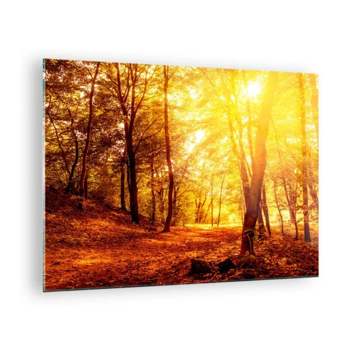 Obraz na skle - Jesenný les osvetlený teplou žiarou slnka - 70x50cm - K zlatej čistinke - Moderná nástenná dekorácia do obývacej izby a spálne ARTTOR