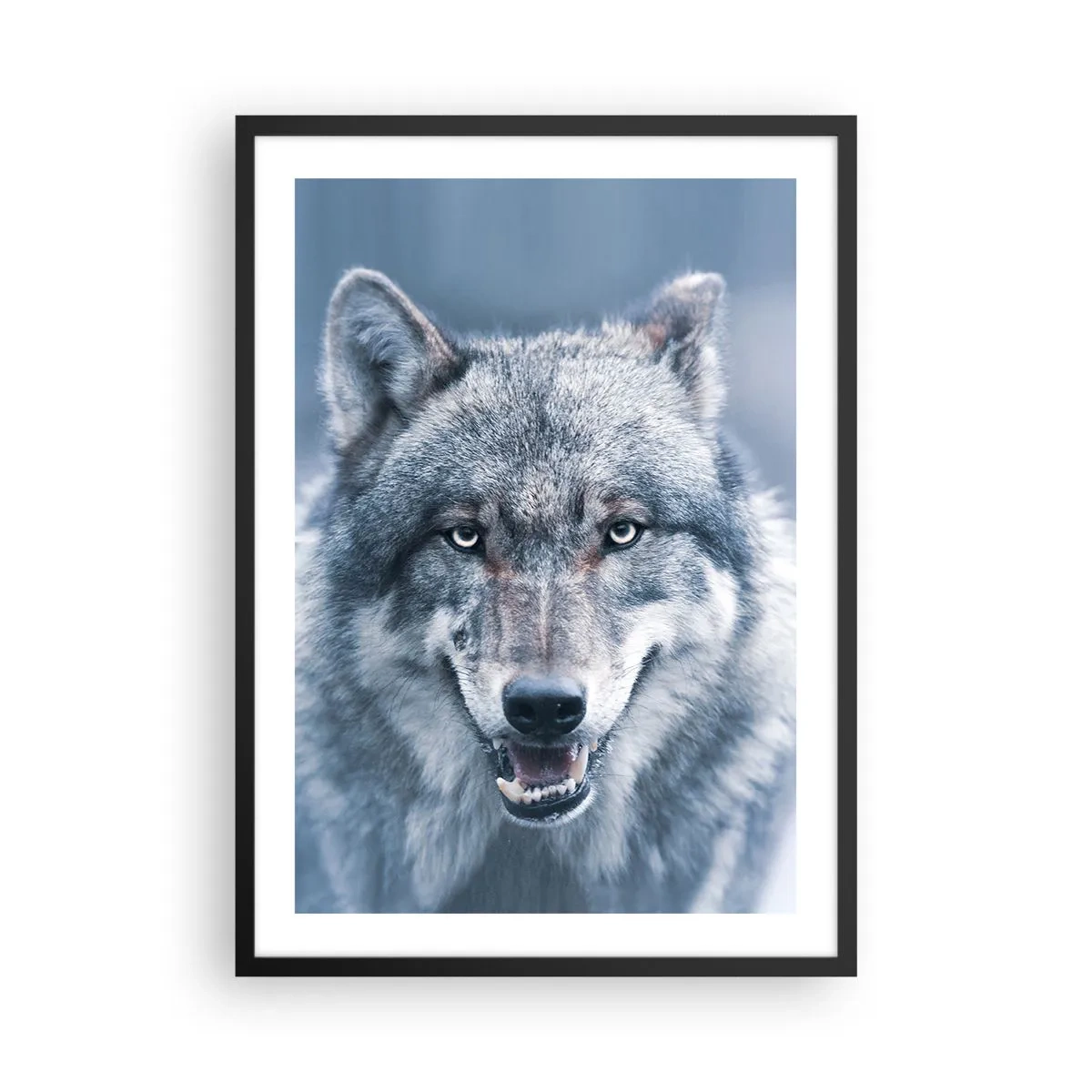 Plagát v čiernom ráme - Portrét vlka na pozadí zimnej krajiny - 50x70cm - Prijmete túto výzvu? - Moderná nástenná dekorácia do obývacej izby a spálne ARTTOR
