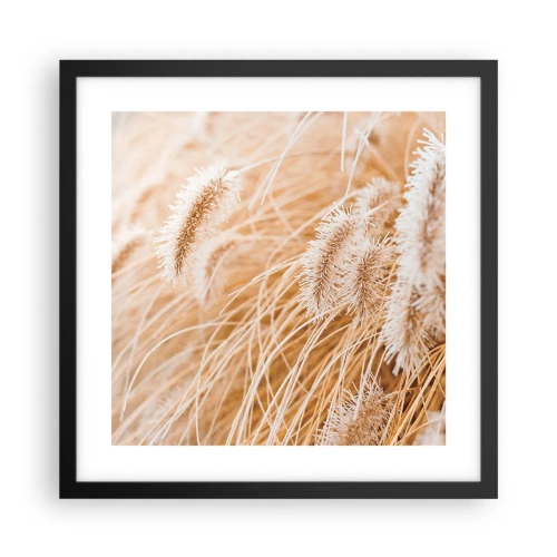 Plagát v čiernom ráme - Zlaté šušťanie tráv - 40x40 cm