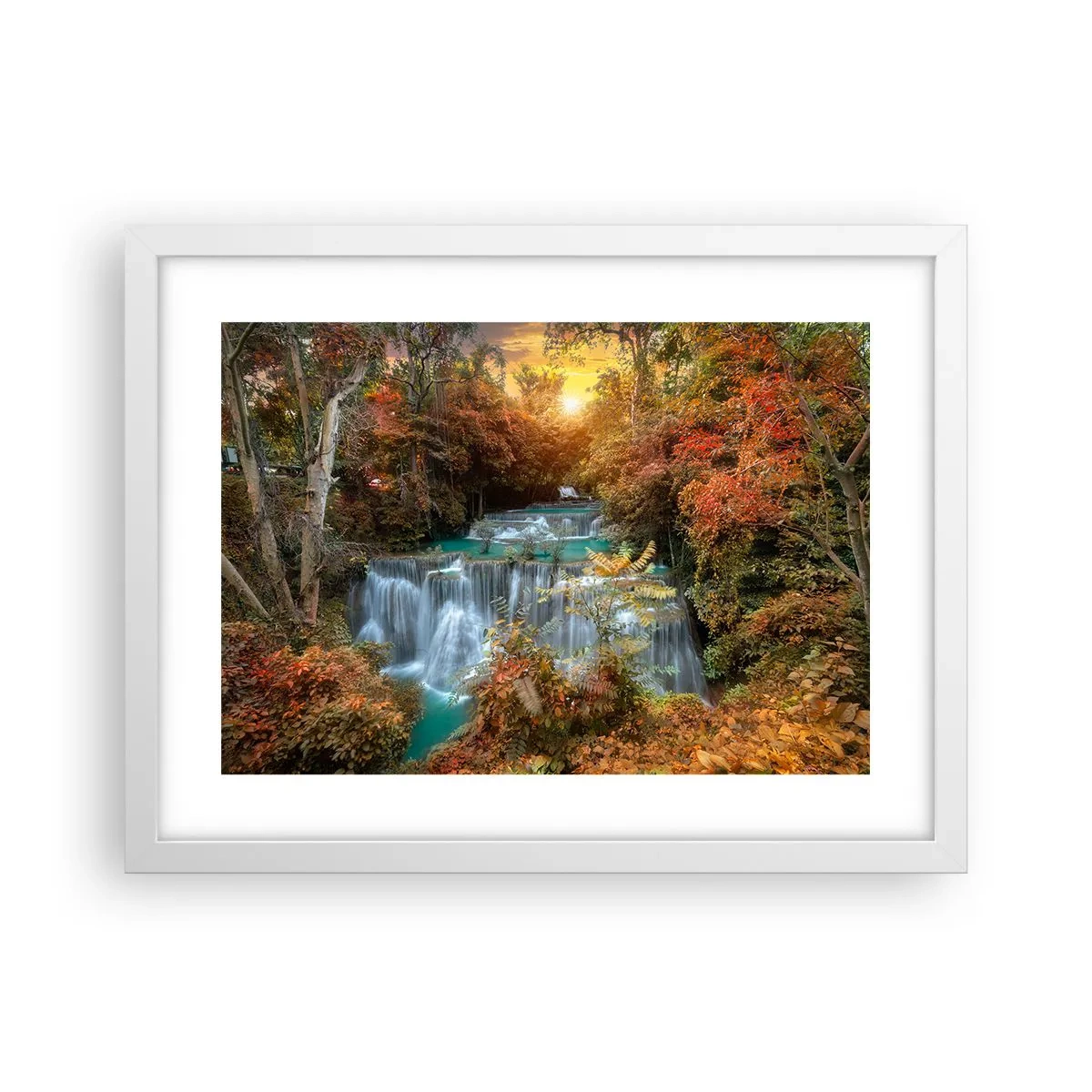 Plagát v bielom ráme - Ukrytý poklad lesa - 40x30 cm