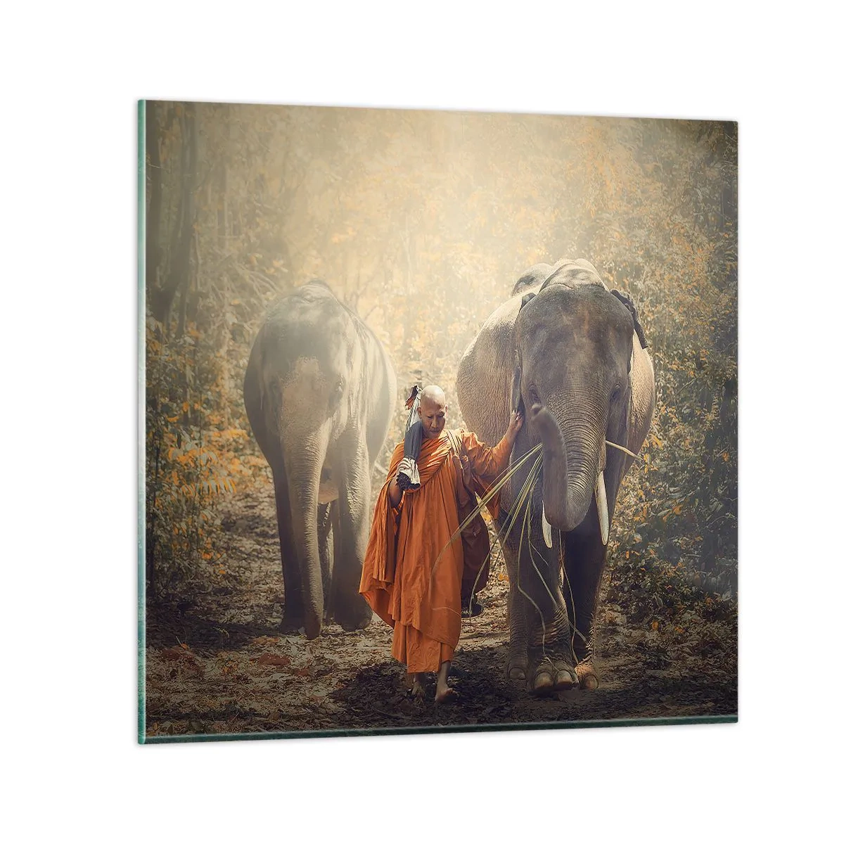 Obraz na skle - Plné pochopenie - 40x40 cm