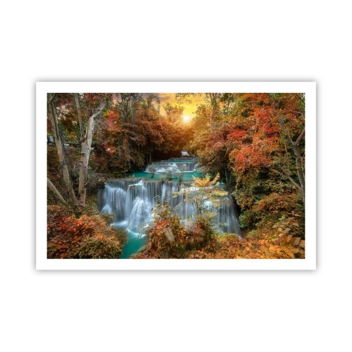 Plagát - Ukrytý poklad lesa - 91x61 cm