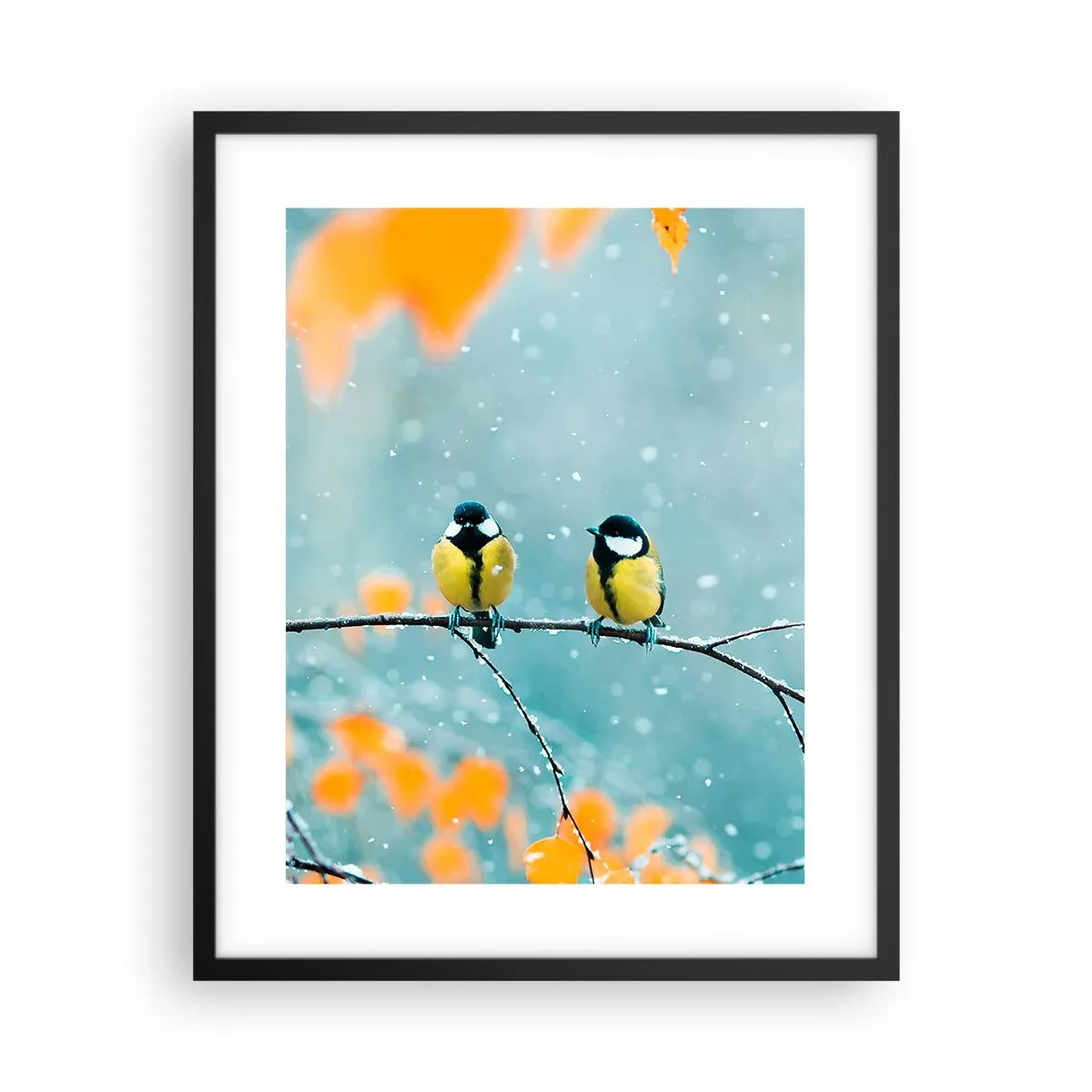 Plagát v čiernom ráme - Vtáčie klebety - 40x50 cm