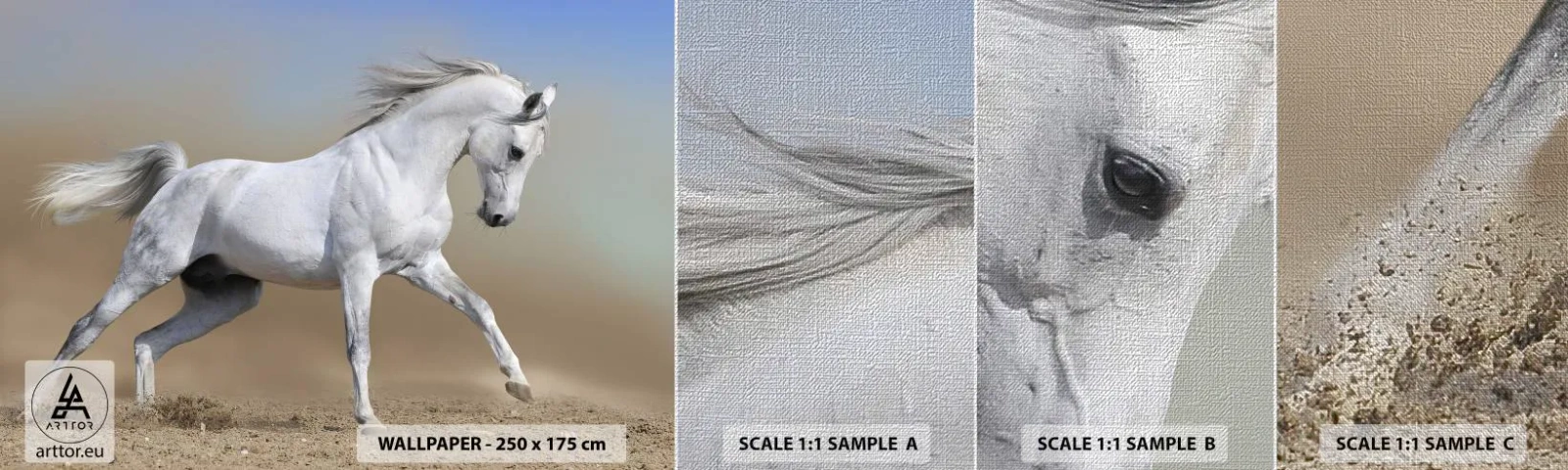 Vzorka fototapety Premium Canvas - Najkrajšia arabská rozprávka - Kôň, Zvieratá, Cval - 100x30 cm