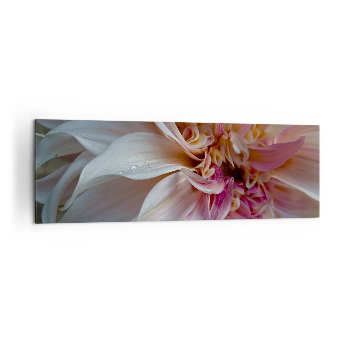 Obraz na plátne - Kvitnúca sviežosť - 160x50 cm