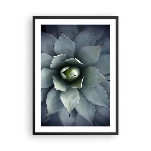Plagát v čiernom ráme - Detailný záber na symetrické listy sukulentu v odtieňoch zelenej. - 50x70cm - Zvádza a varuje - Moderná nástenná dekorácia do obývacej izby a spálne ARTTOR