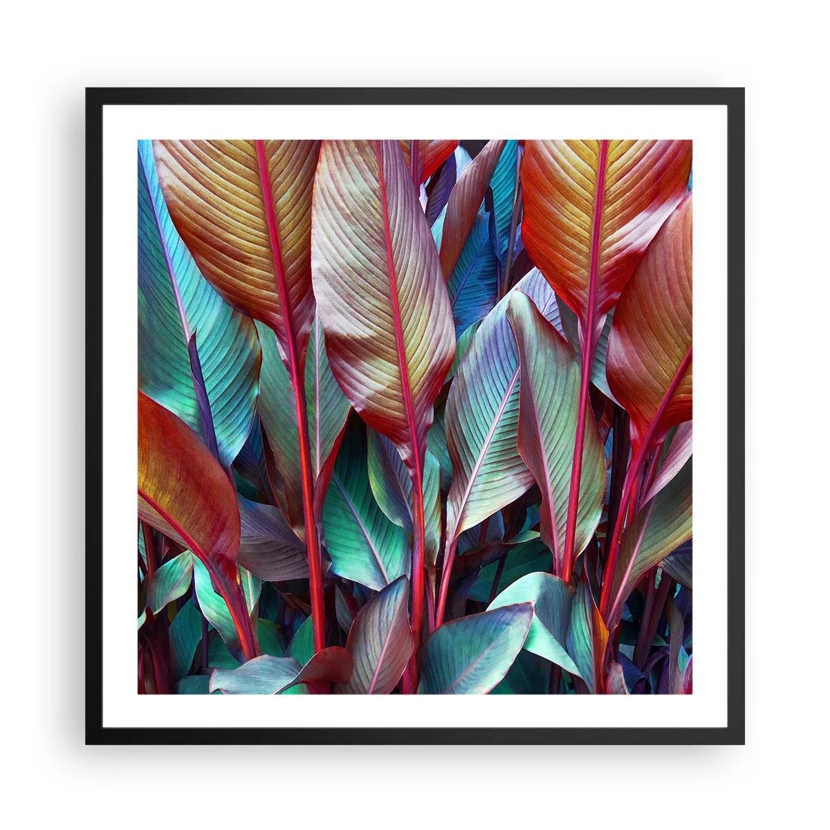 Plagát v čiernom ráme - Farebná húština - 60x60 cm