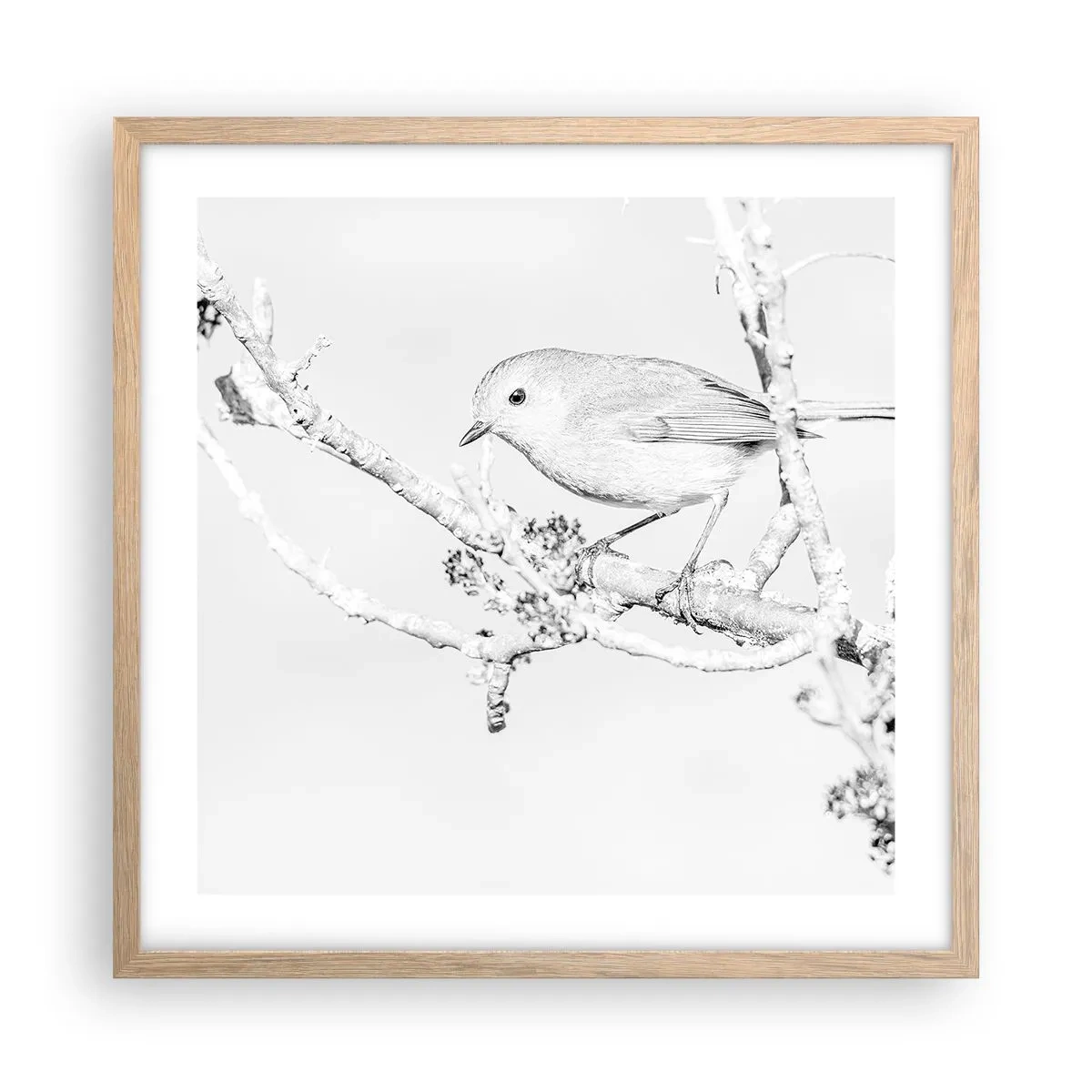 Plagát v ráme zo svetlého duba - Zimné ráno - 50x50 cm
