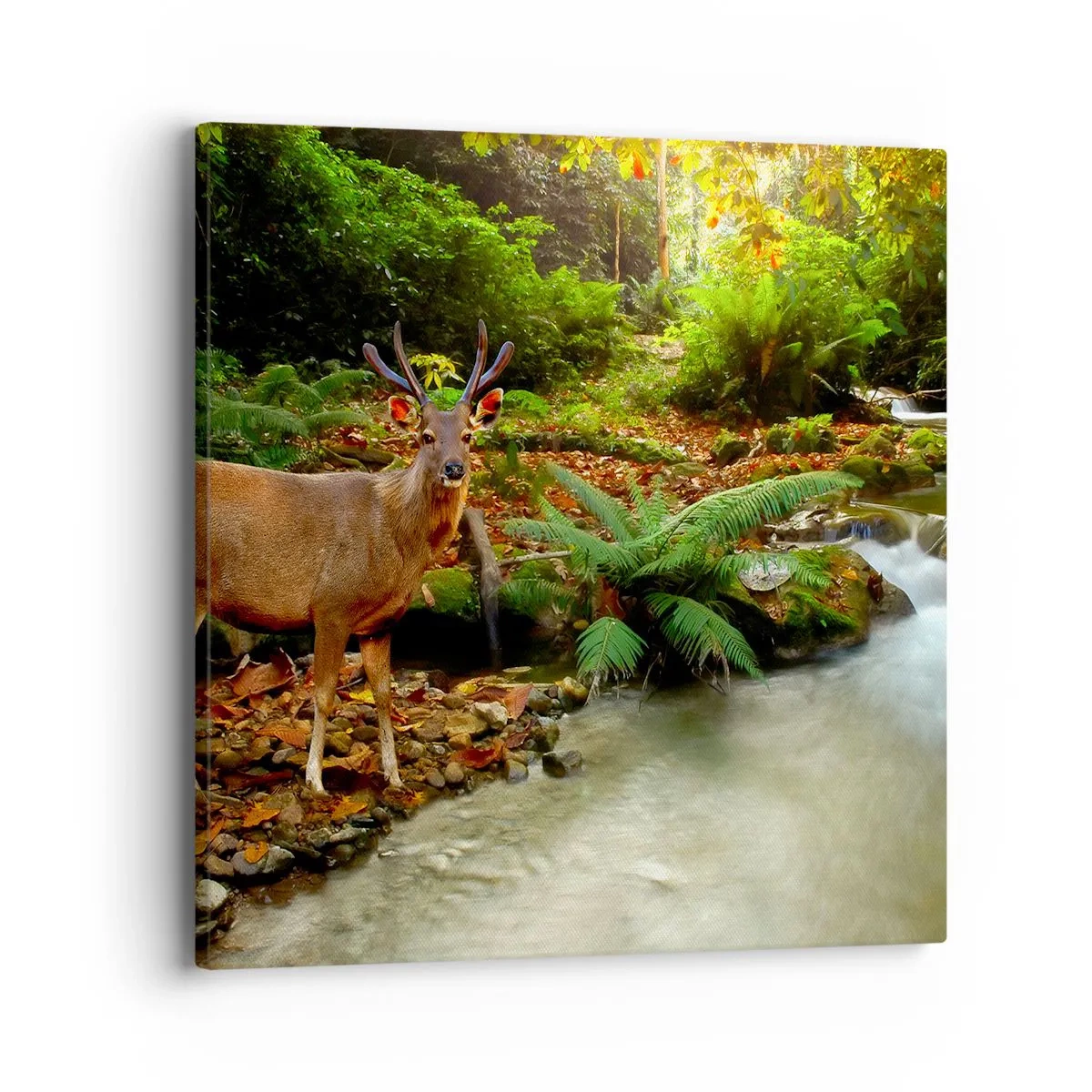 Obraz na plátne - Vítajte v mojom svete - 40x40 cm