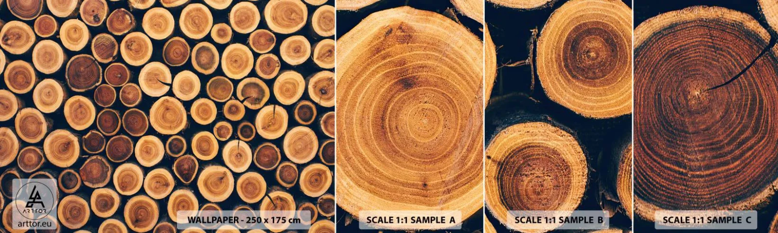 Vzorka samolepiacej fototapety Deluxe Sticker - Na koľko vyzerám? - Kmeň stromu, les, Kus - 100x30 cm