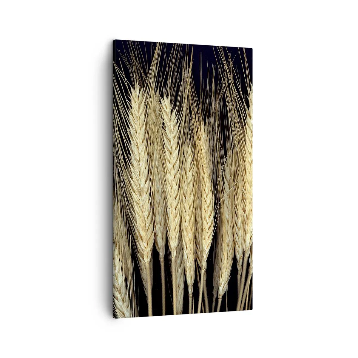 Obraz na plátne - Rustikálna mágia - 45x80 cm