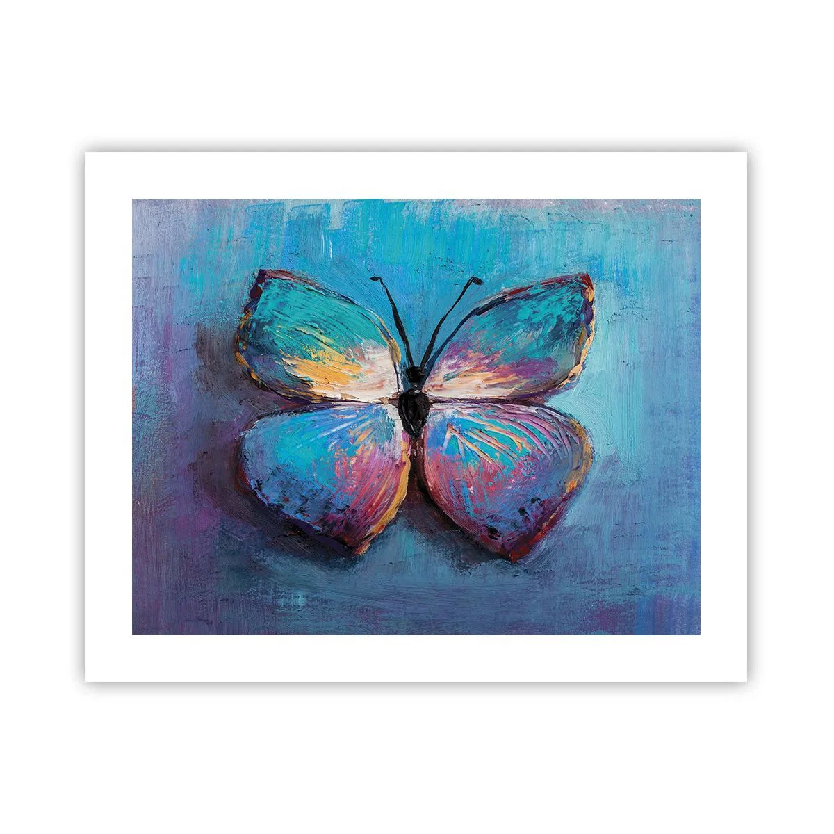 Plagát - V celej svojej kráse - 50x40 cm