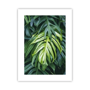 Plagát - Ponoriť sa do sviežosti - 30x40 cm